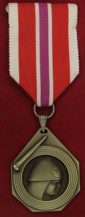 Medaile SH ČMS Za zásluhy o výchovu